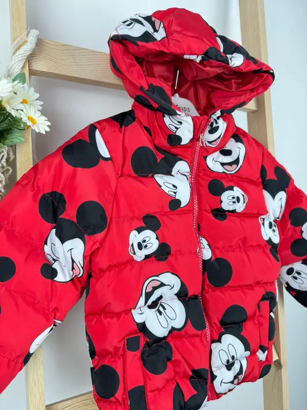 1-6 Yaş Mickey Mont