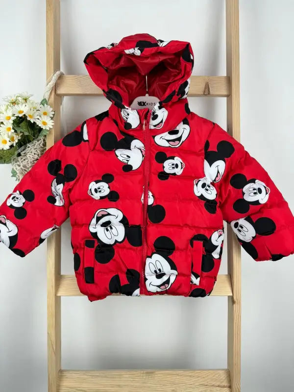 1-6 Yaş Mickey Mont