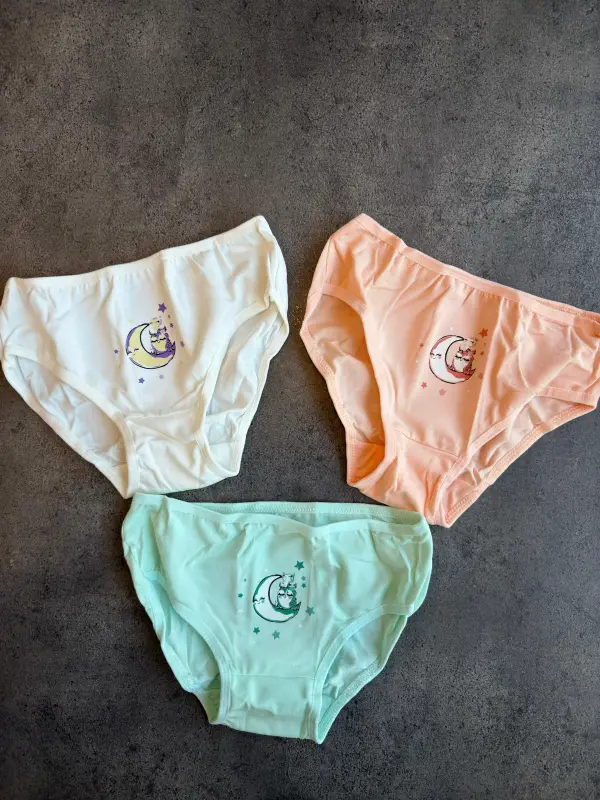 2-13 Yaş 3Lü Ay Desenli Külot