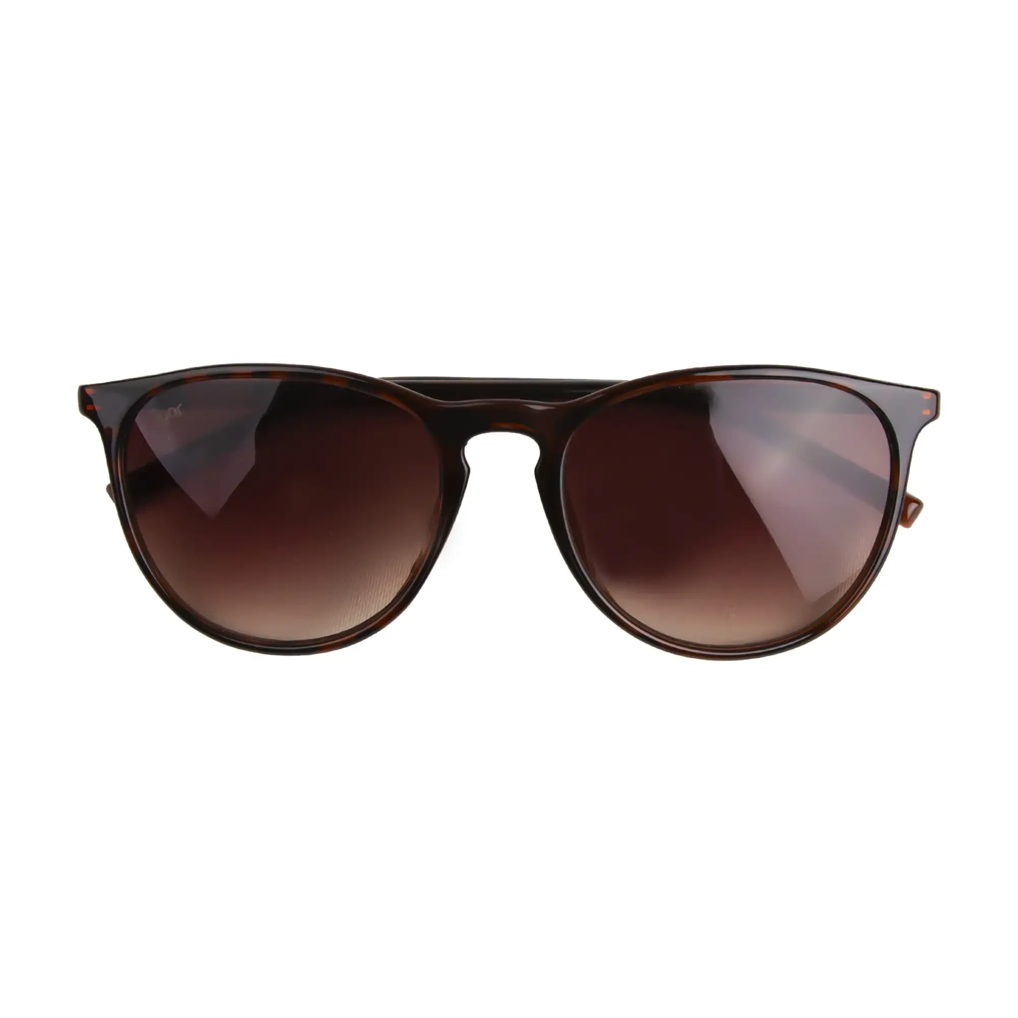 İgor Güneş Gözlüğü SS230 Mou/Brown