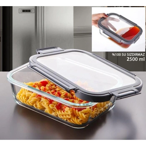 Gnl Cam 2500cc Saklama Kabı