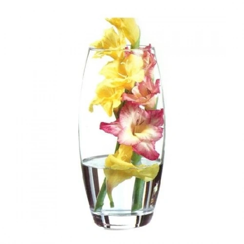 43966-1X6-Botanica Vazo