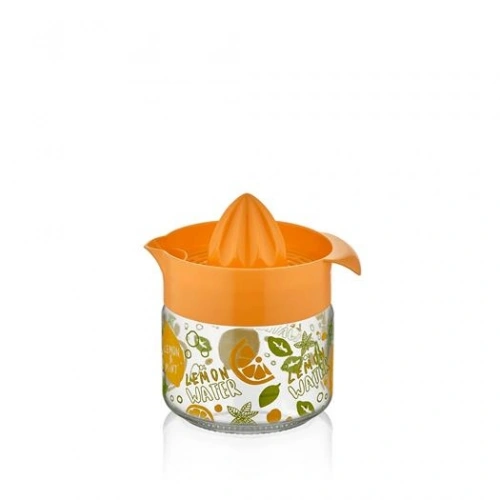 Ql Desenli Cam Limonluk 300cc