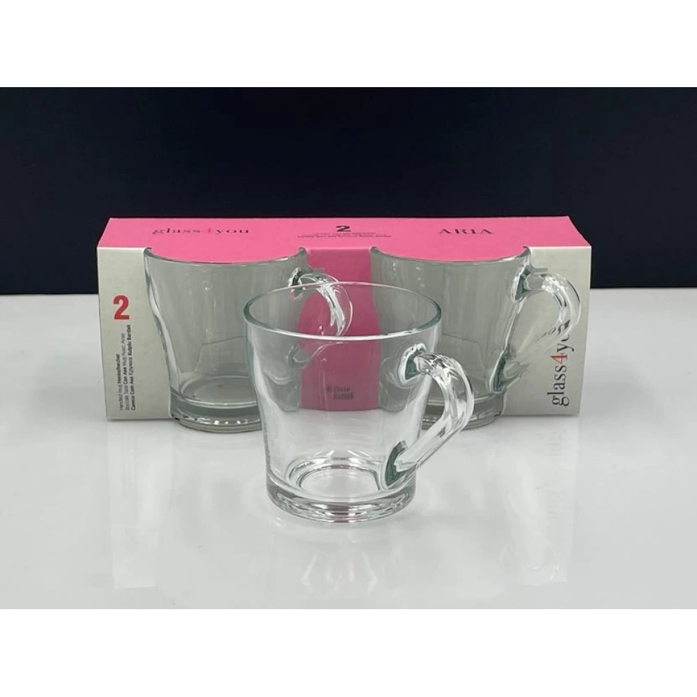 55793-2X12-G4U-Aria Fincan 20cc