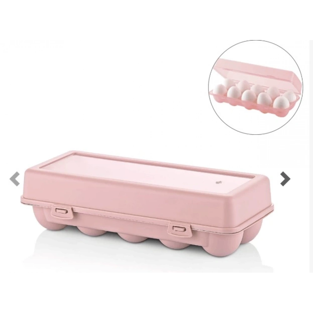 Ql Yumurta Saklama Kabı