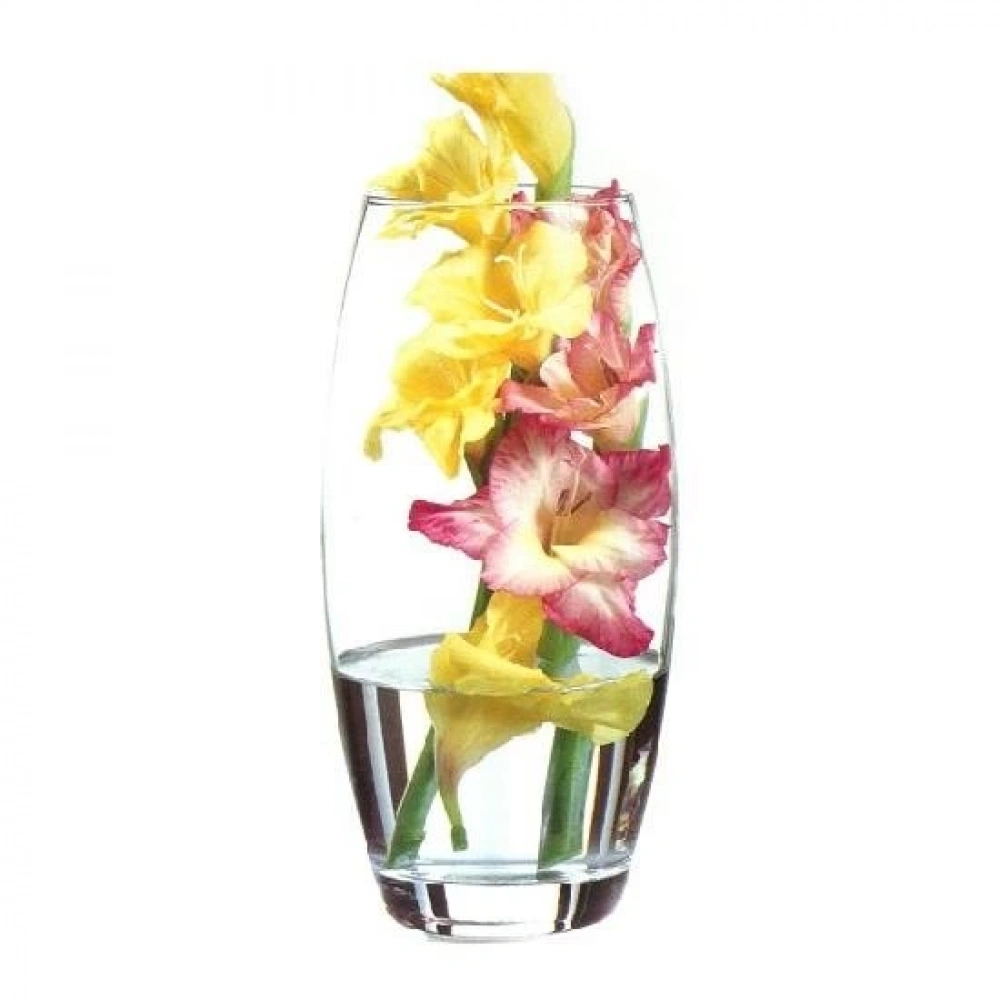 43966-1X6-Botanica Vazo