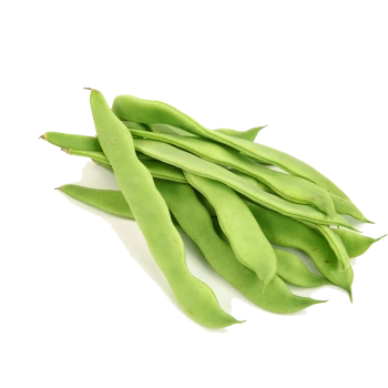 Fasulye Çalı 500 gr