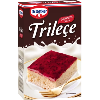 Dr Oetker Trileçe 315 gr
