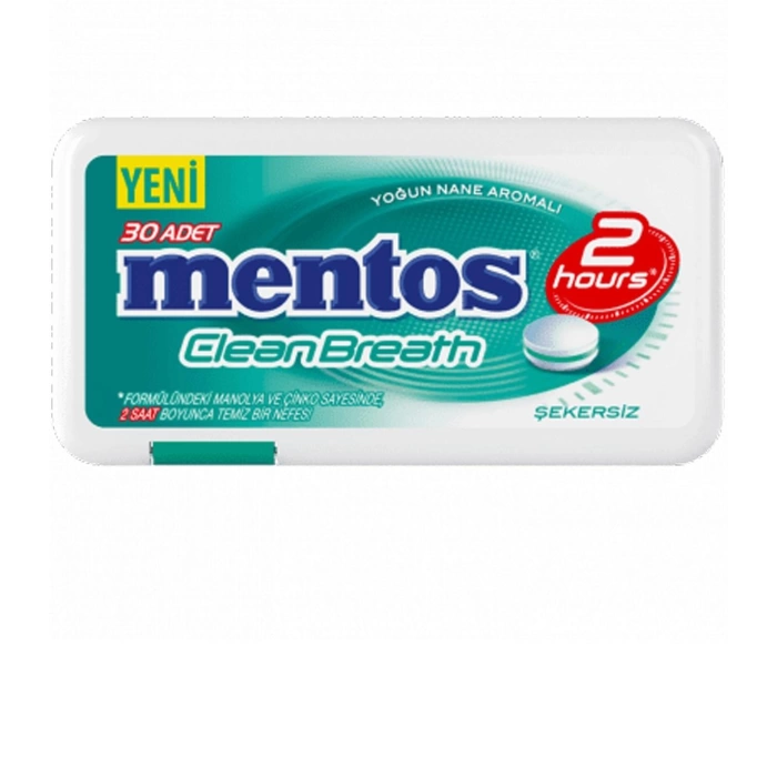 Mentos Nane Aromalı Şekersız 21 gr