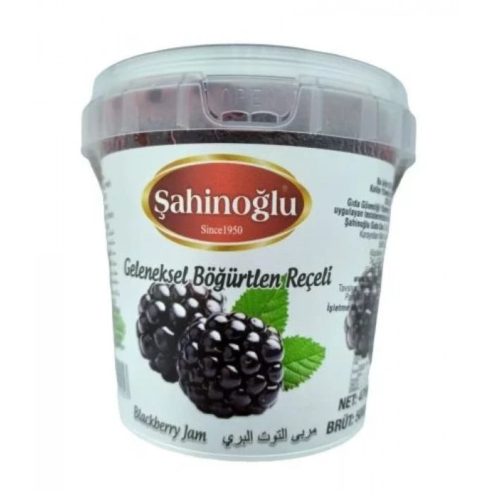 SAHINOGLU 500 KOV BOGURTLEN RECELI