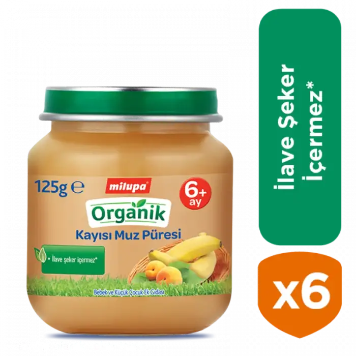 Kavanoz Organik Kayısı Muz Püresi 6x125 gr özel paket