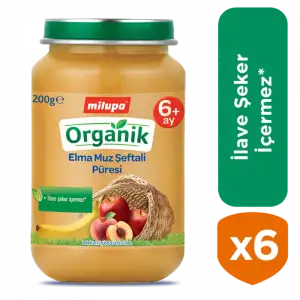 Kavanoz Organik Elma Muz Şeftali Püresi 6x200 gr özel paket