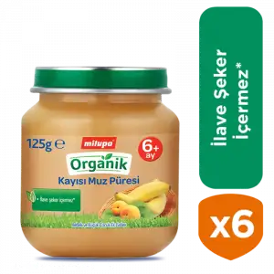 Kavanoz Organik Kayısı Muz Püresi 6x125 gr özel paket
