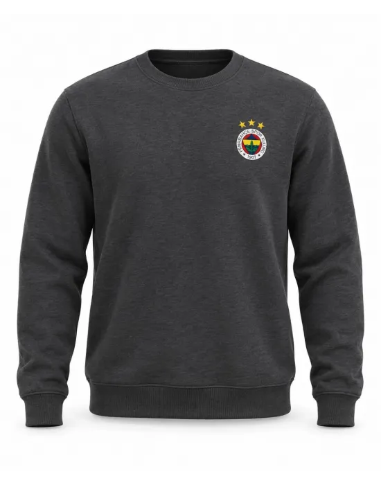 FENERBAHÇE FÜME Sweatshirt