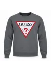 GUESS FÜME Sweatshirt