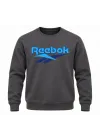 REBOOK FÜME Sweatshirt
