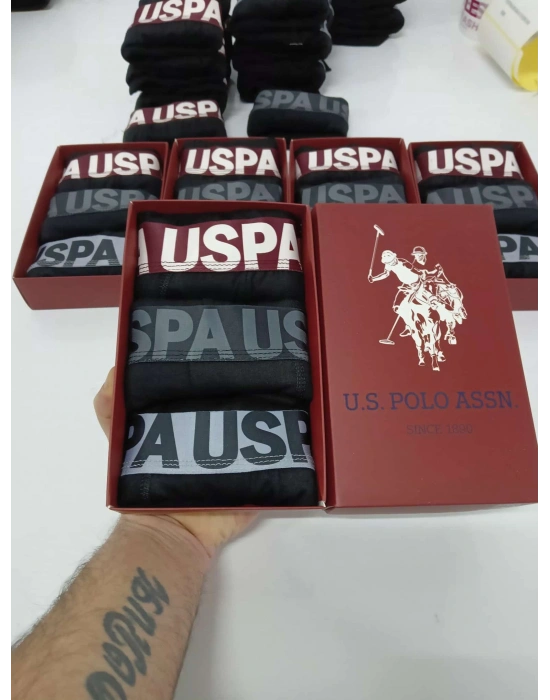 USS POLO