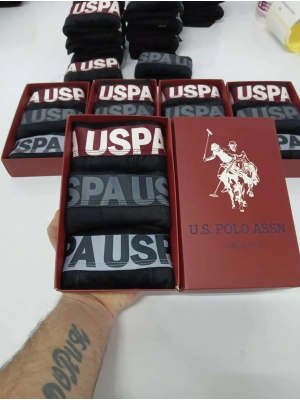 USS POLO
