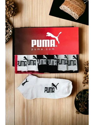 PUMA