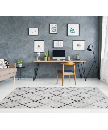 Luxess Moda Koleksiyonu %100 Akrilik Dokuma Halı 1097 Mavi