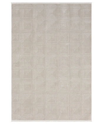 Seyran Gustoo Koleksiyonu Tozumaz Kolay Temizlenir Halı 901 Bej