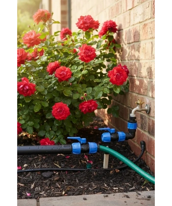 Kaplin Çıkışlı Küresel Vana Maşon 20x20 mm 2 Adet