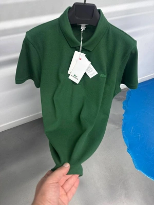 Marka Model Polo Yaka Tshirt Yeşil