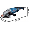 Bosch Profesional GWS30-230B Büyük Taşlama Makinesi
