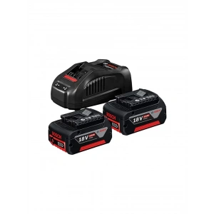 Bosch 18V Başlangıç seti 2x5.0 Ah + GAL 1880CV