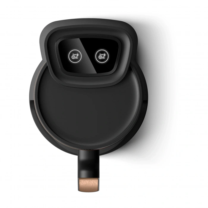 Philips BXA0069/00 DST8040/30 Buharlı Ütü + HDA150/60 Türk Kahve Makinesi Set