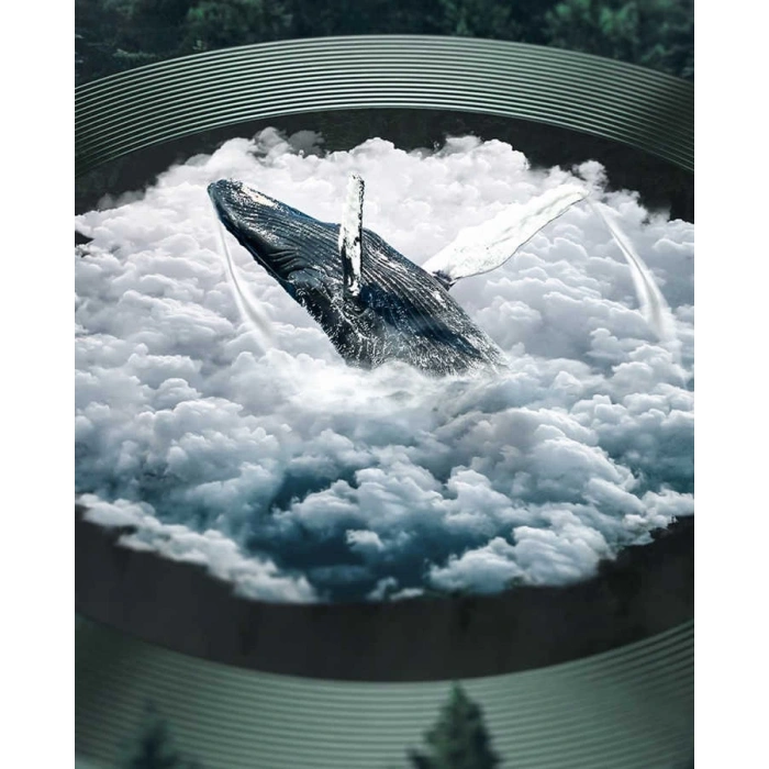 Apple iPhone 11 Pro Max Zore CL-02 Kamera Lens Koruyucu