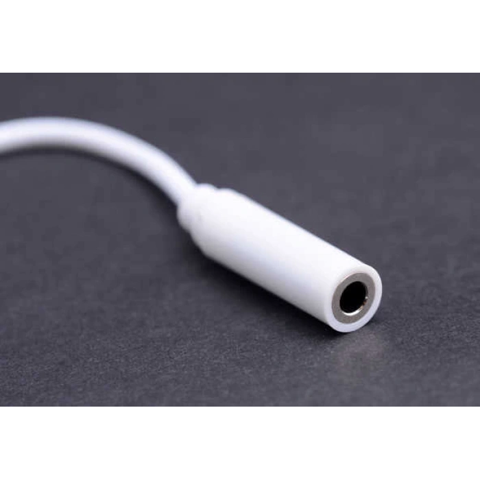 Type-C Kulaklık Çevirici 25cm