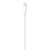 Apple USB-C - Lightning Kablosu 1m - MUQ93ZM/A