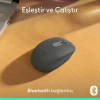 Logitech M196 Mouse - Graphit
