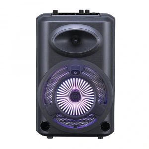 Zore GD-903 Dijital LED Göstergeli FM Radyolu Mikrofonlu RGB TWS 8 inç Stereo Bass Kablosuz Karaoke Hoparlör