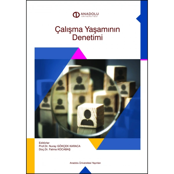 ÇALIŞMA YAŞAMININ DENETİMİ