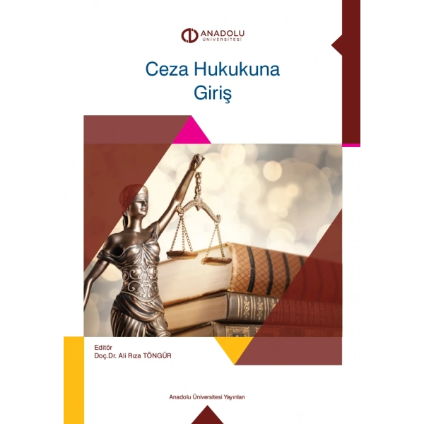 CEZA HUKUKUNA GİRİŞ