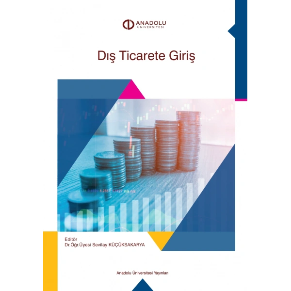 DIŞ TİCARETE GİRİŞ