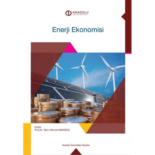 ENERJİ EKONOMİSİ