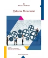 ÇALIŞMA EKONOMİSİ