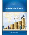 ÇALIŞMA EKONOMİSİ II