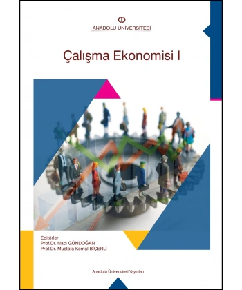 ÇALIŞMA EKONOMİSİ I