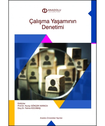 ÇALIŞMA YAŞAMININ DENETİMİ
