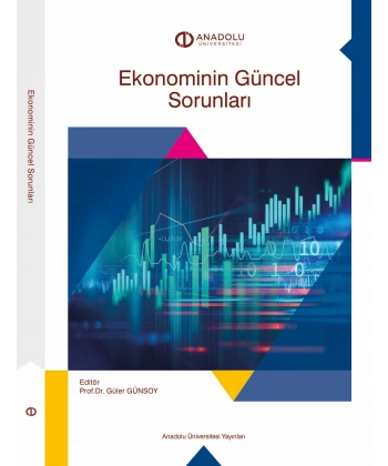 EKONOMİNİN GÜNCEL SORUNLARI