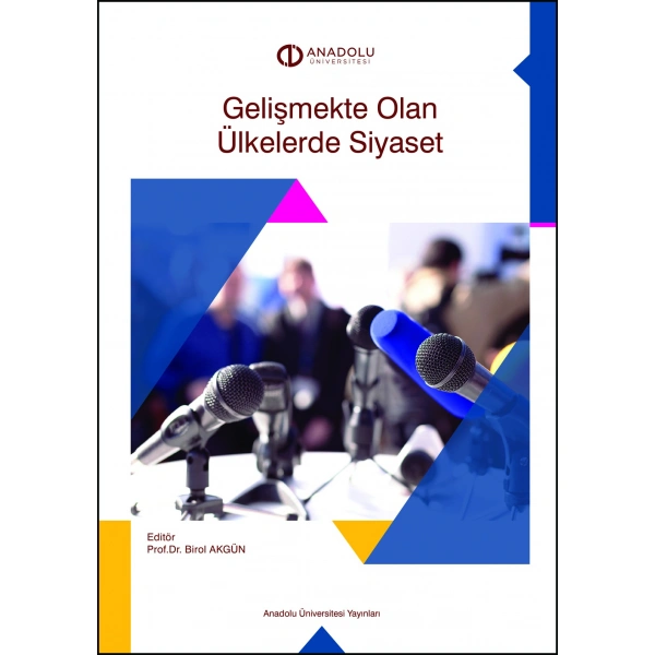 GELİŞMEKTE OLAN ÜLKELERDE SİYASET
