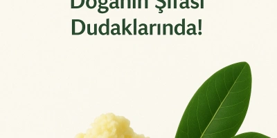Çatlayan Dudaklara Veda: Bioterra Organik Shea Butter Dudak Balmı ile Doğanın Şifası Dudaklarında!