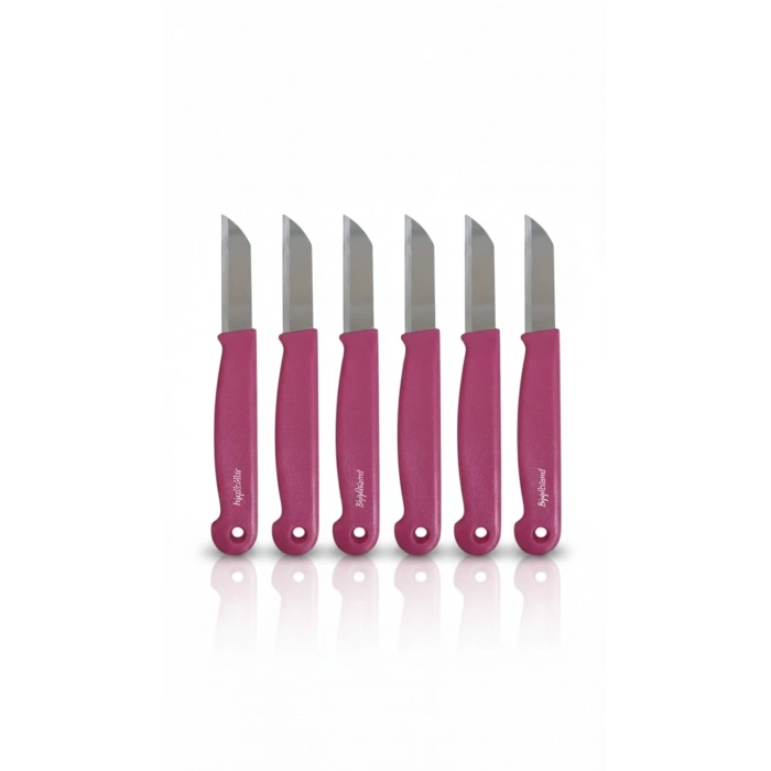 ByMyHand Pembe Meyve Bıçağı 6lı Set
