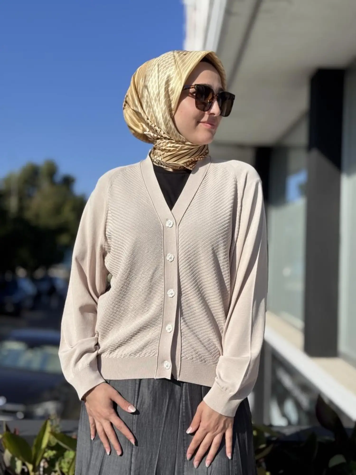 Ghisa Triko Hırka 3183