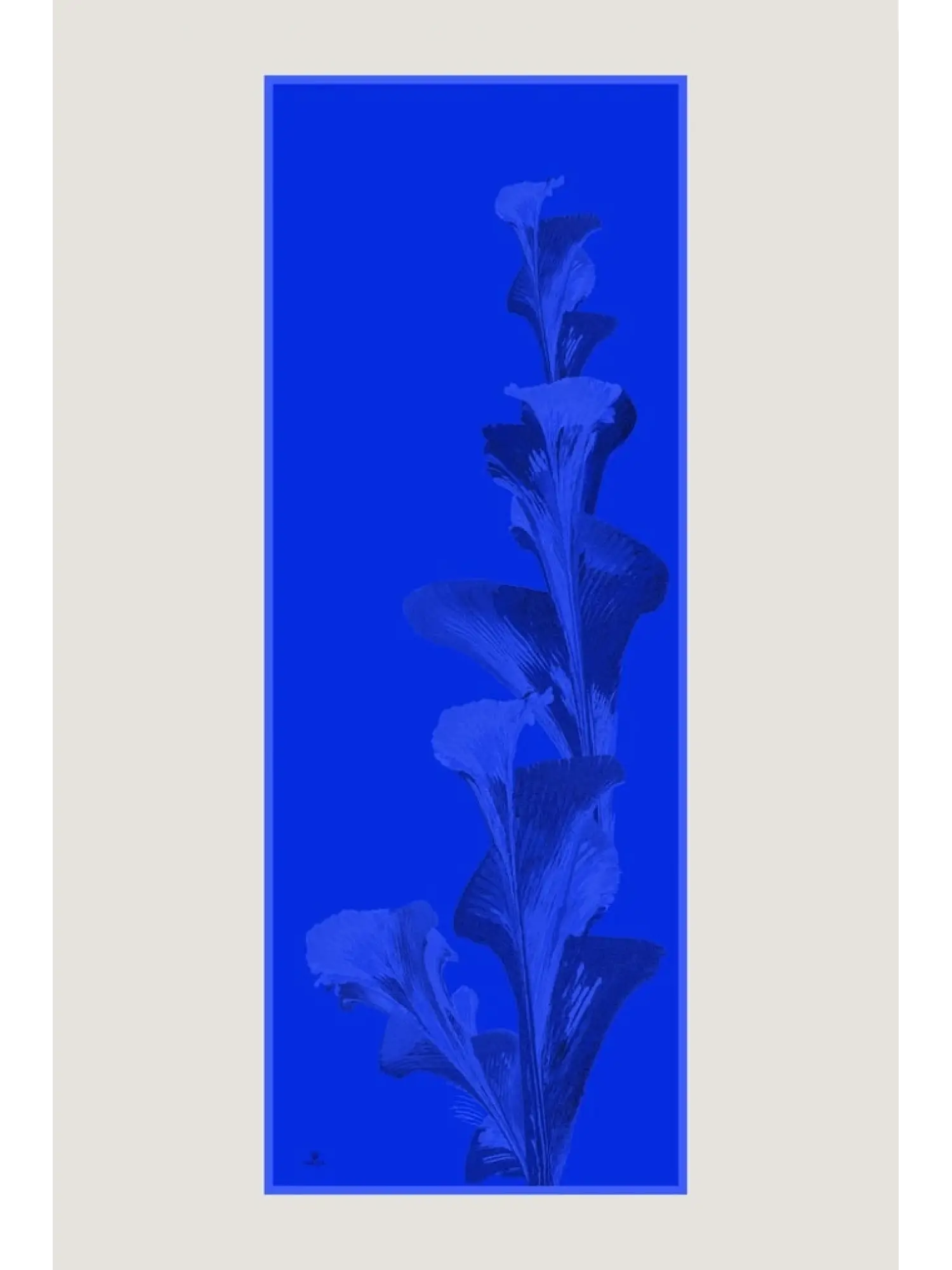 Maisa Şule 70x190 Pamuk İpek Şal