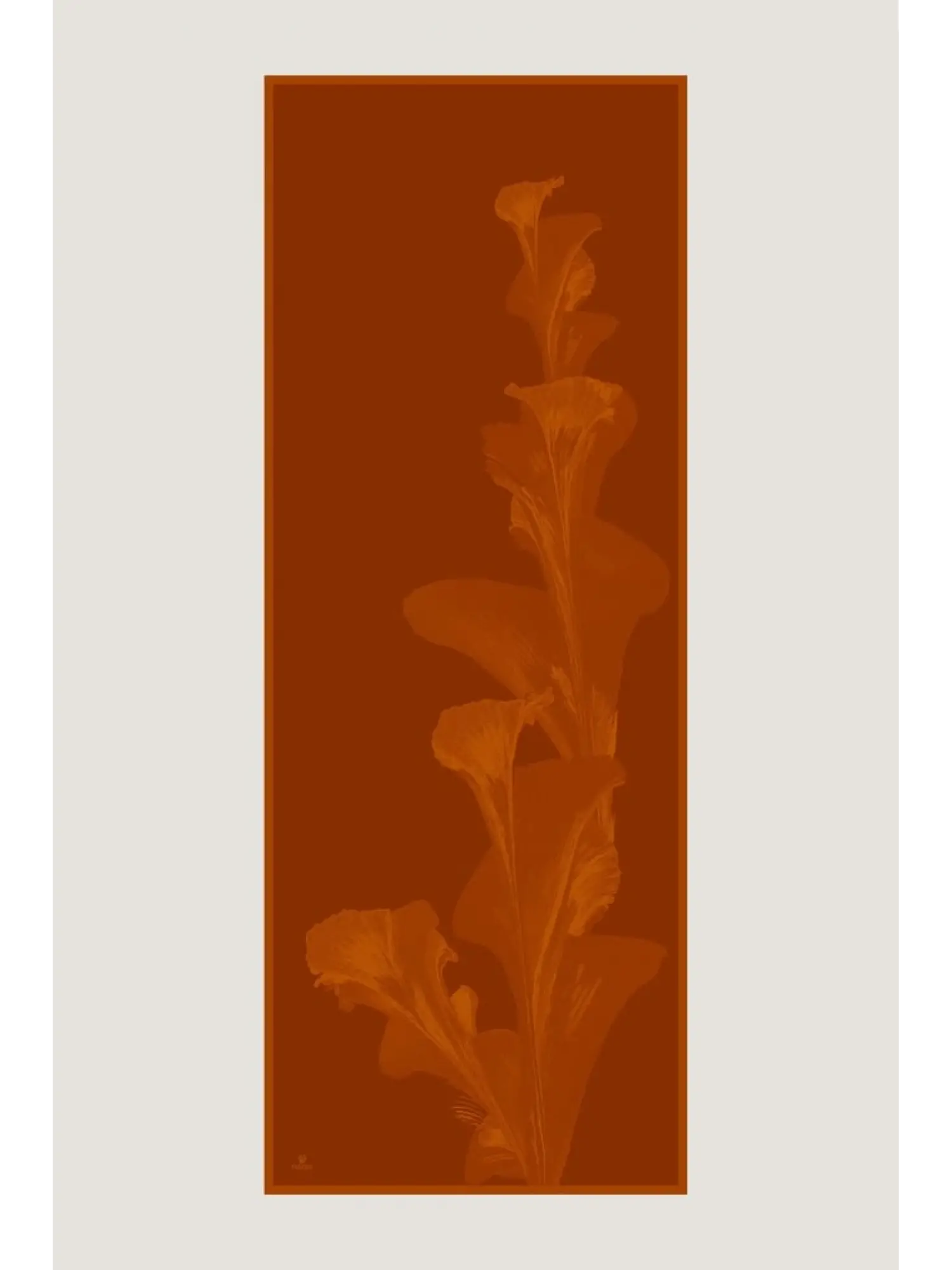 Maisa Şule 70x190 Pamuk İpek Şal